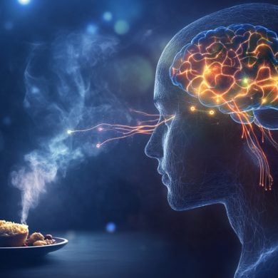 This shows food, a head, and a brain.