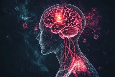 This shows a head and a brain.