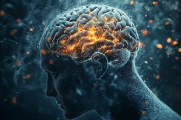 This shows a person and a brain.