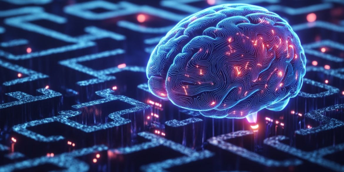 This shows a brain.