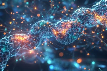 This shows DNA.