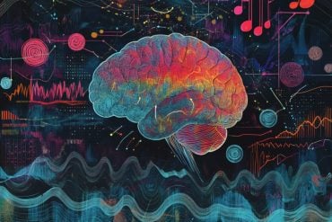This shows a brain and sound waves.