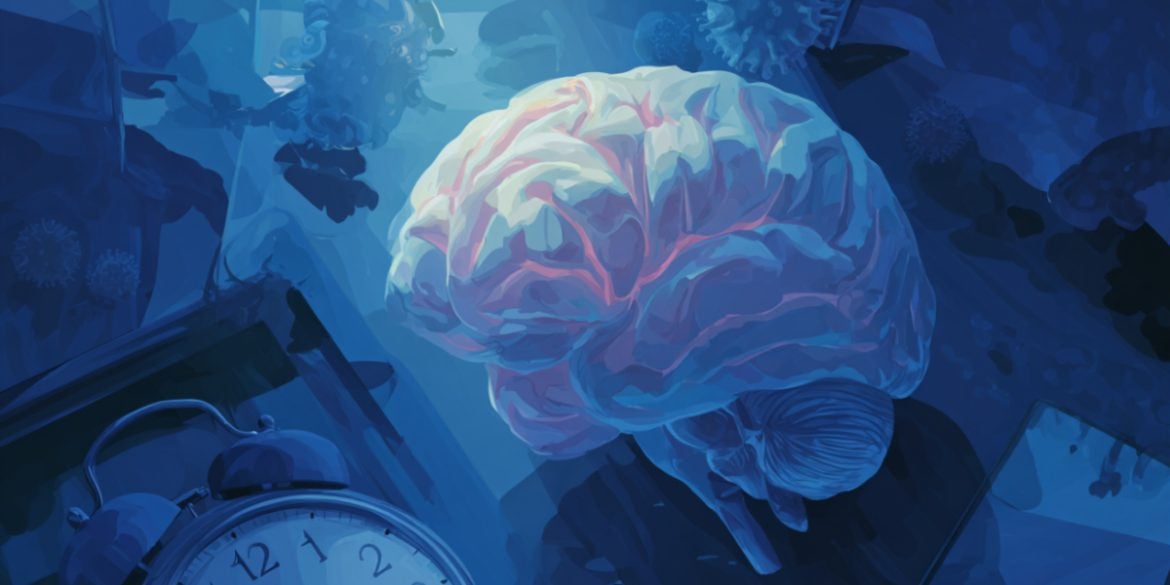 This shows a brain.