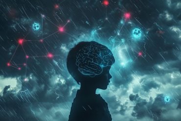 This shows the outline of a child and a brain.
