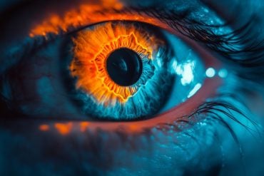 This shows an eye.
