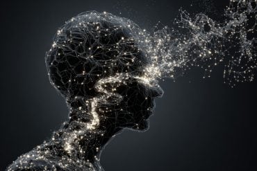 This shows the outline of a head.