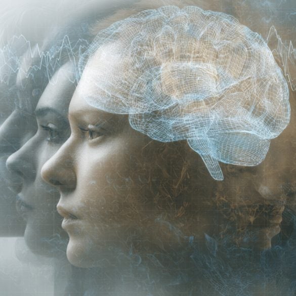 This shows heads and a brain.
