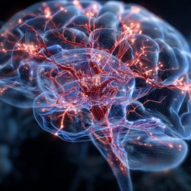 This shows a brain.