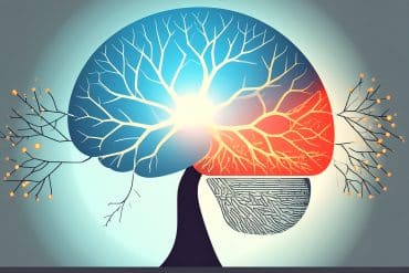 This shows a brain.