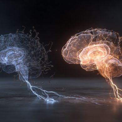 This shows two brains.