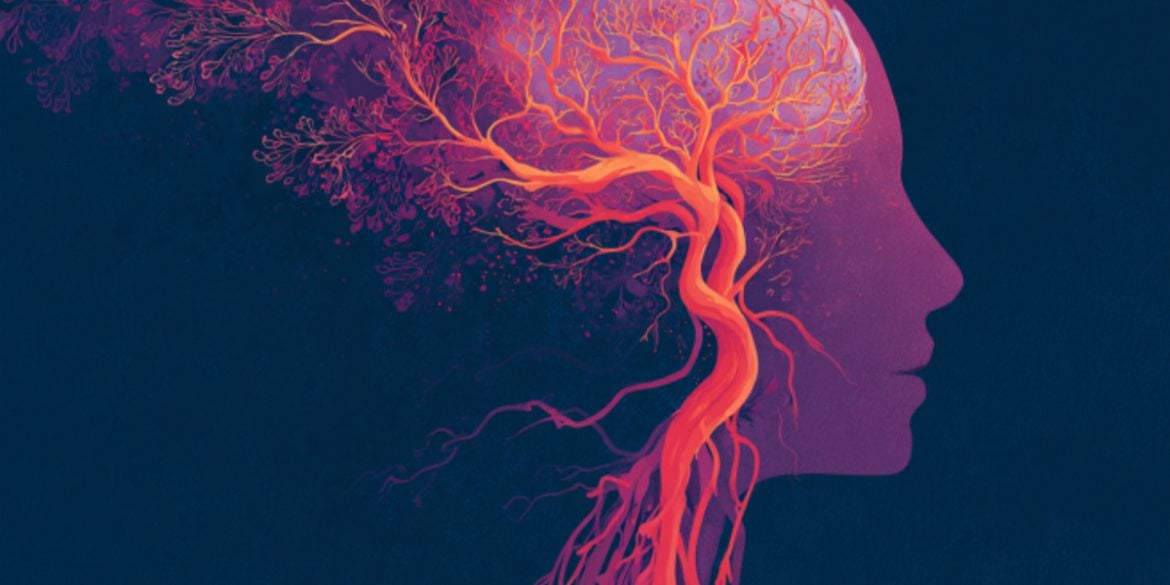 This shows an illustration of a head and blood vessels.