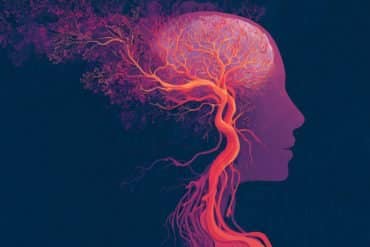 This shows an illustration of a head and blood vessels.