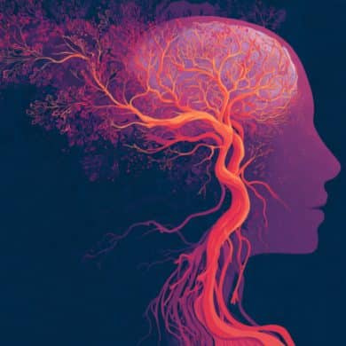 This shows an illustration of a head and blood vessels.