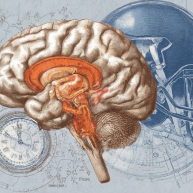 This shows a brain and a football helmet.