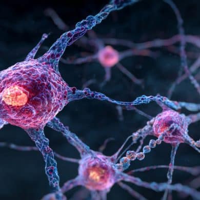 This shows a neuron.
