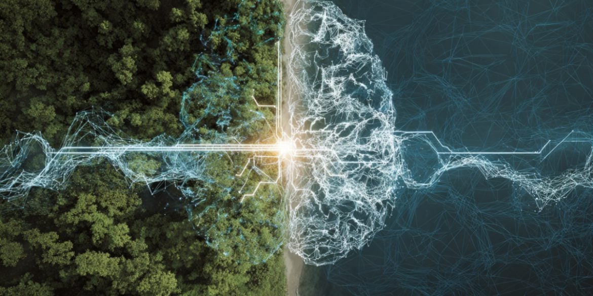 This shows a brain and a Forrest.