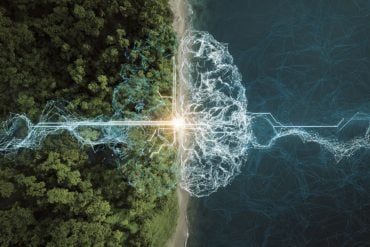 This shows a brain and a Forrest.