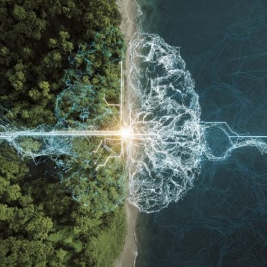 This shows a brain and a Forrest.
