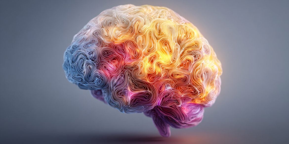 This shows a brain.
