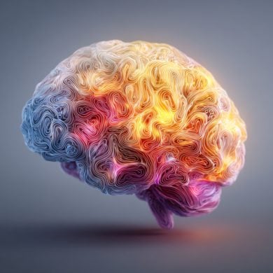 This shows a brain.