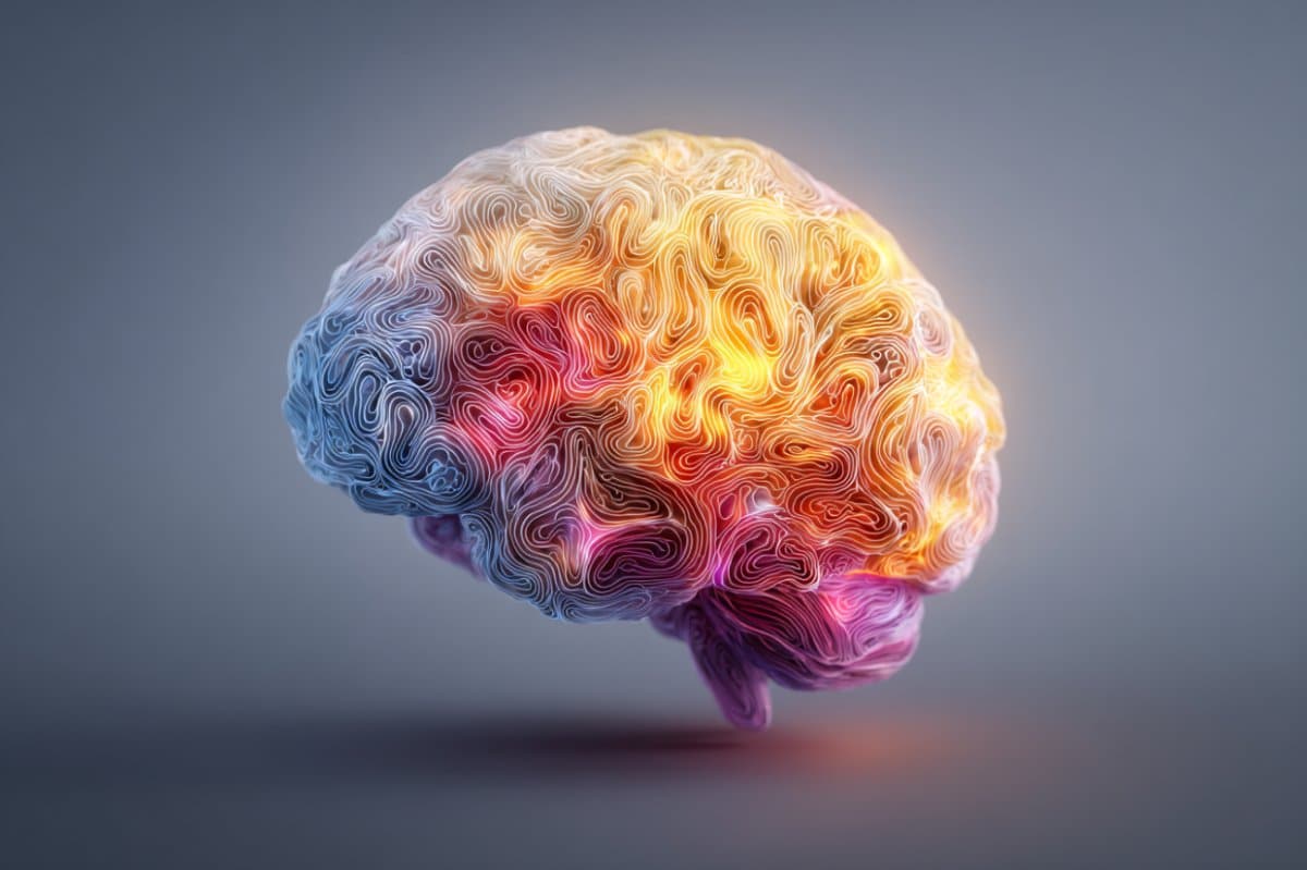 This shows a brain.