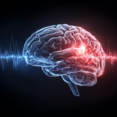 This shows a brain with the amygdala and hippocampus glowing red.