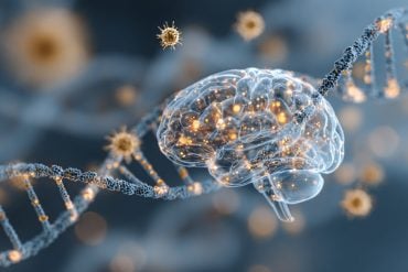 This shows a brain and DNA.