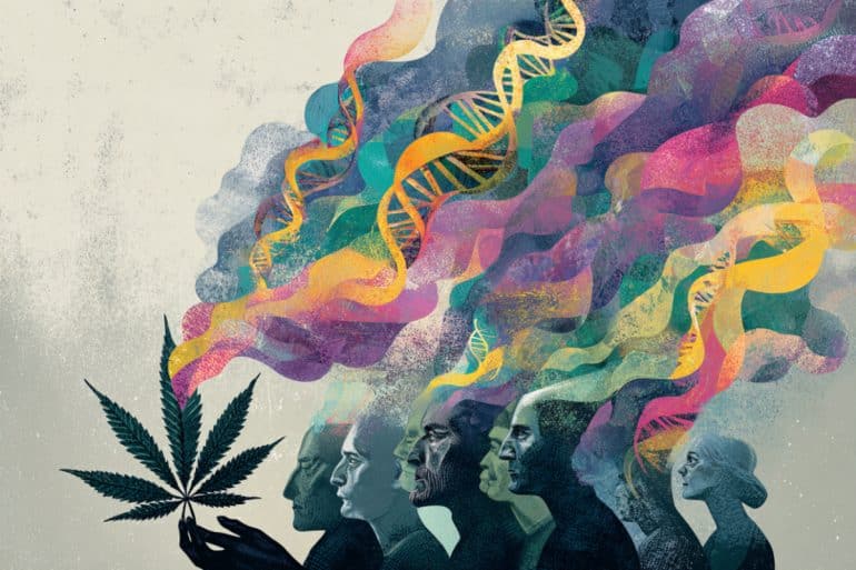 This shows DNA, people, and a leaf.