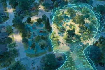 This shows the outline of a child's head and a park.