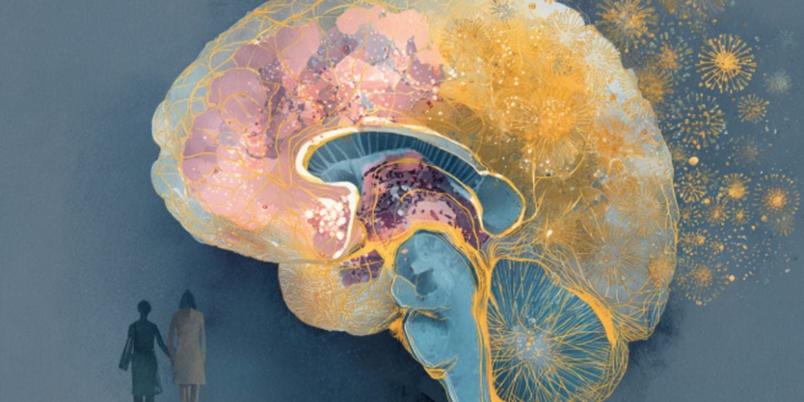 This shows a brain.