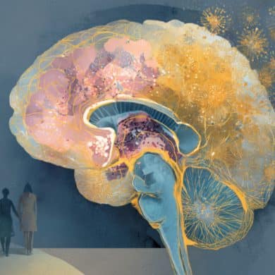 This shows a brain.