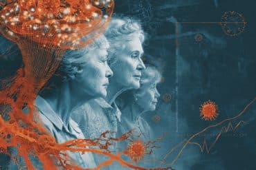 This shows women's heads and a brain.