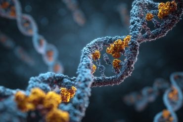 This shows DNA.