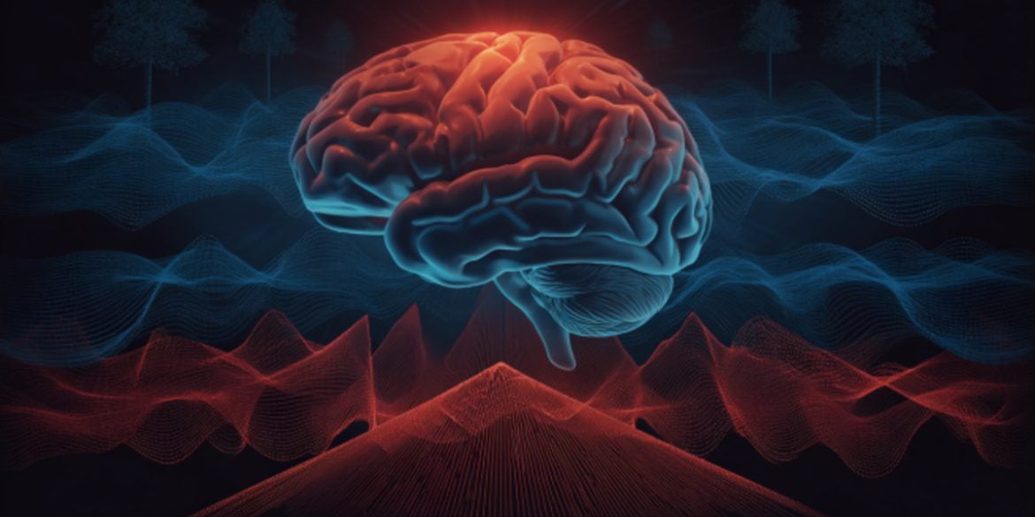 This shows a brain.