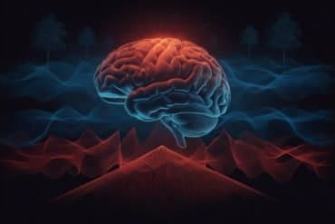 This shows a brain.