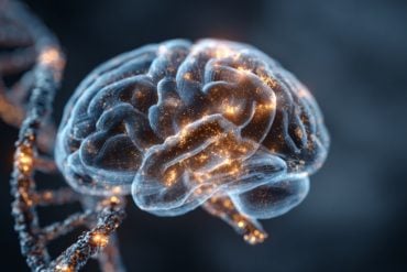 This shows a brain and DNA.