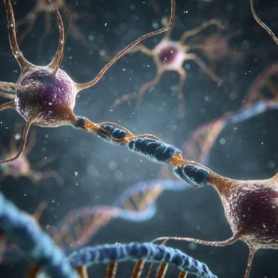 This shows neurons and DNA.