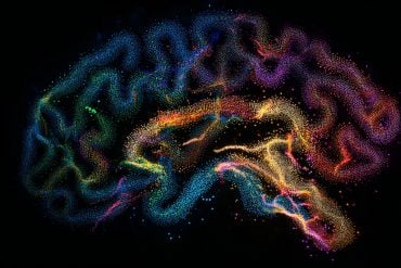This shows the brain as a maze.