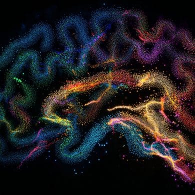 This shows the brain as a maze.