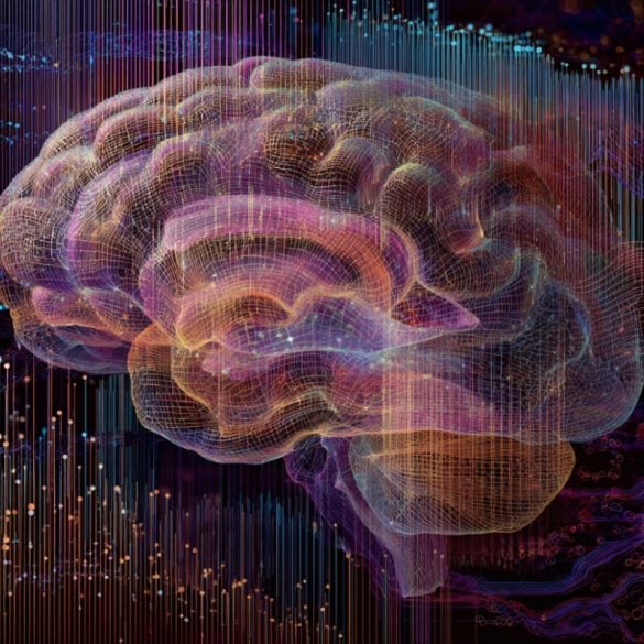 This shows a brain.