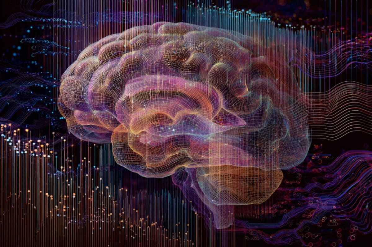 This shows a brain.