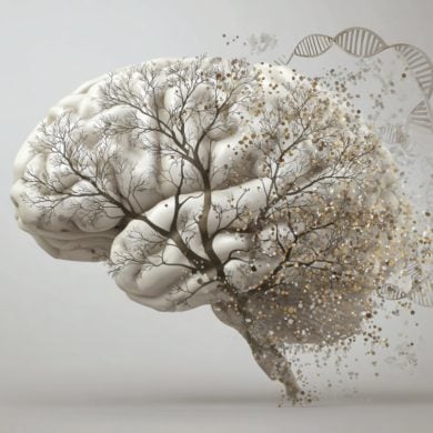 This shows a brain and a tree.