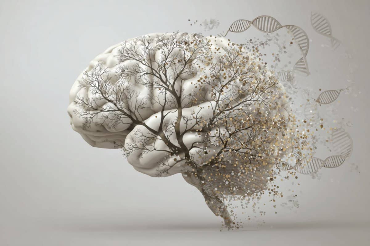 This shows a brain and a tree.
