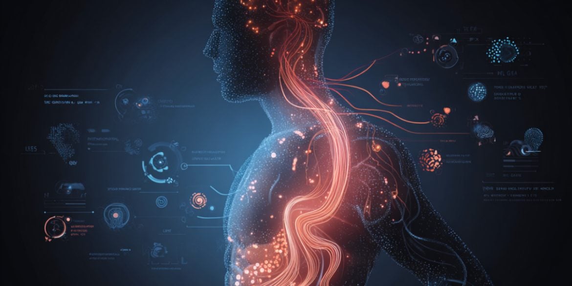 This shows the biological route from the gut to the brain.