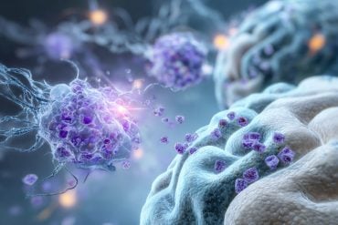 This shows microglia and a brain.