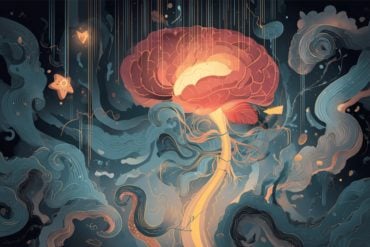 This shows a brain.