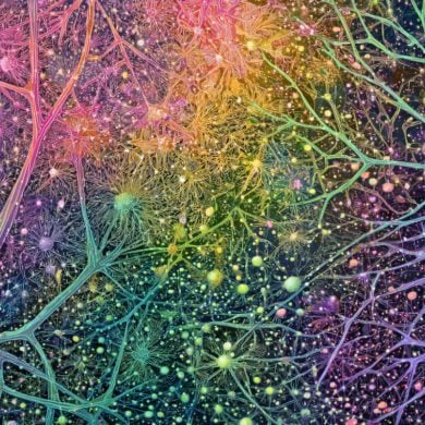 This shows neurons.