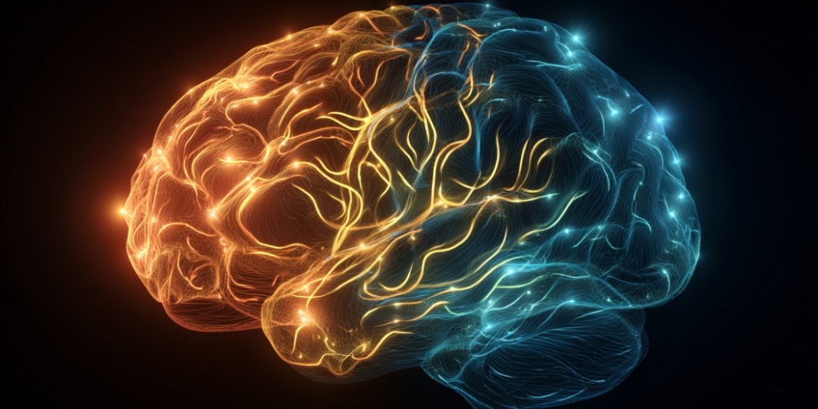 This shows a brain.