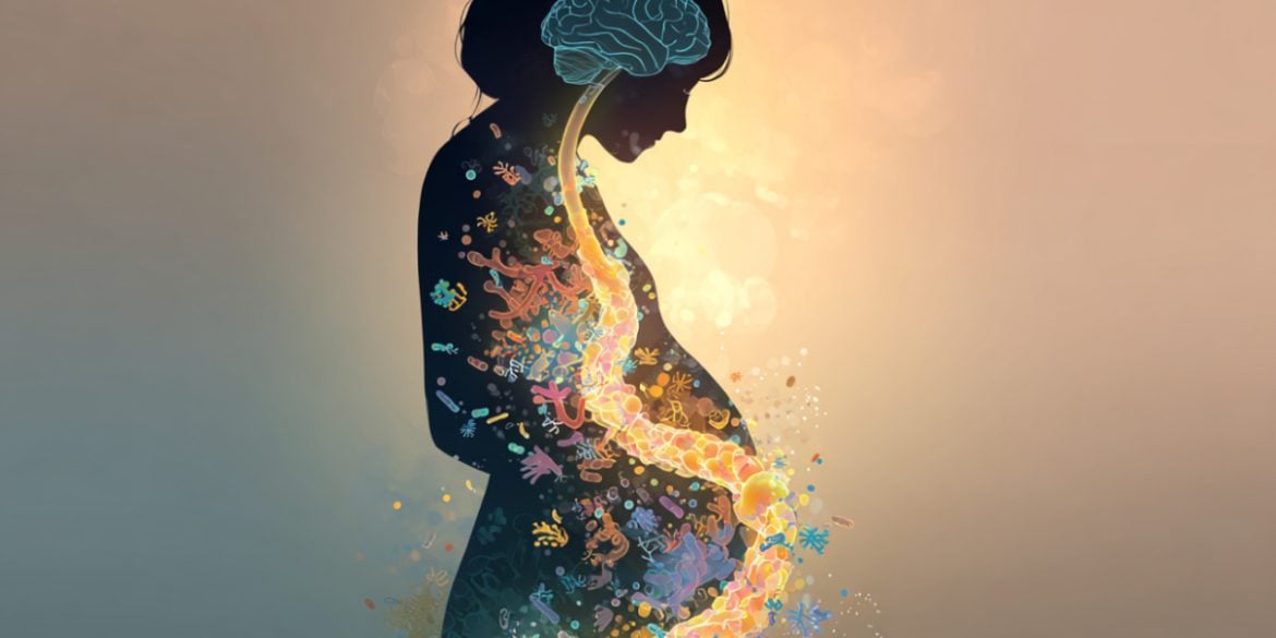 This shows a pregnant woman and gut bacteria.
