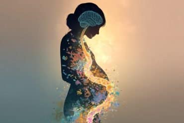 This shows a pregnant woman and gut bacteria.